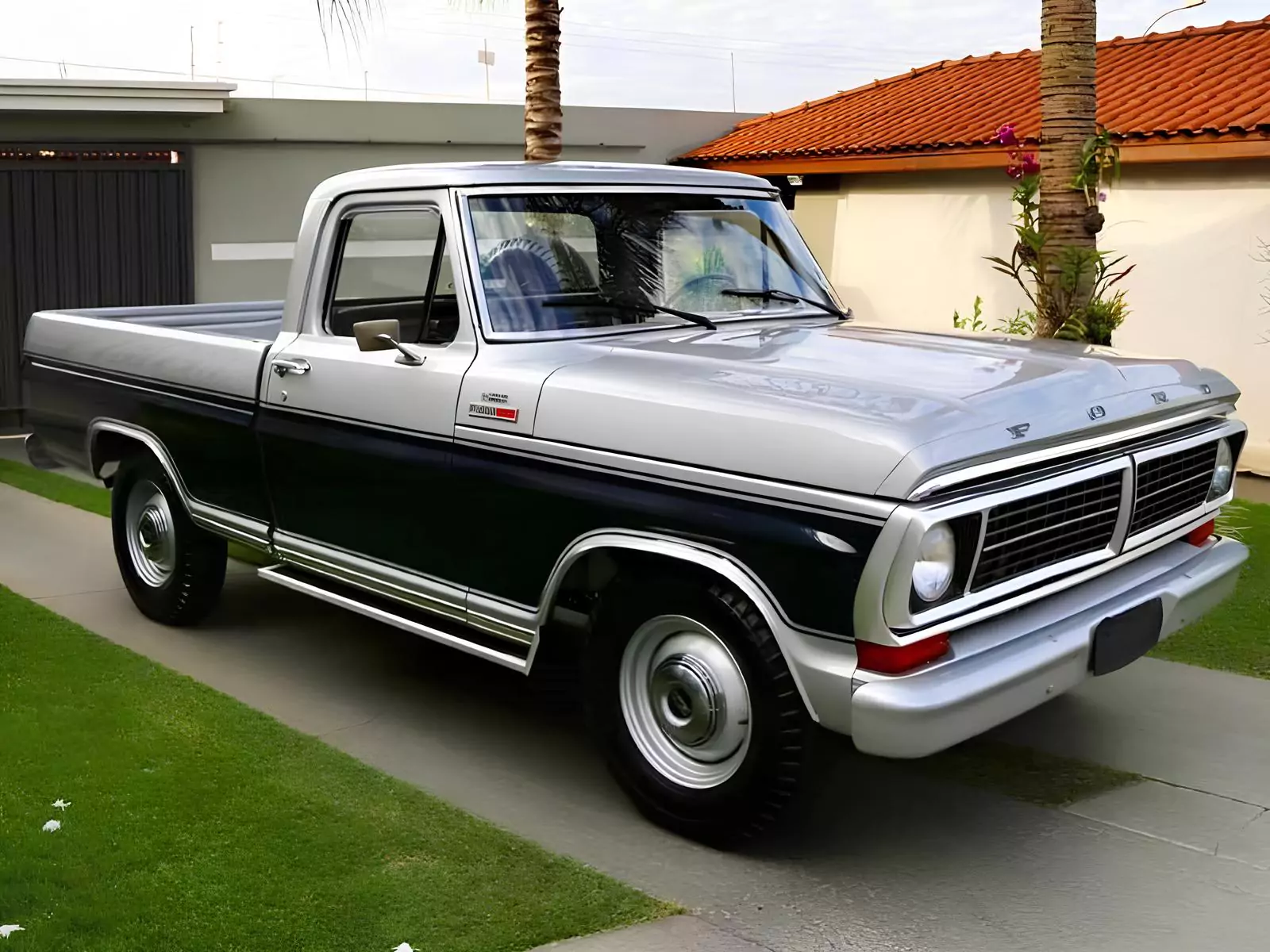 Ford F-1000 / Foto: Julio Raridades