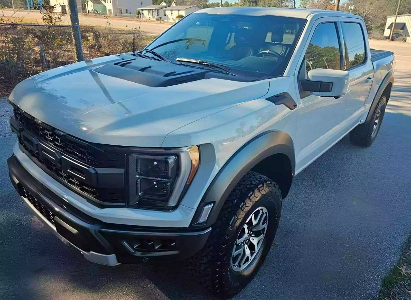 Nova F-150 Raptor 2024 / Foto: Palmetto