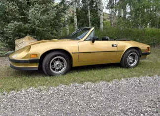 Cruzando Fronteiras: Clássico Puma Brasileiro Brilha no Canadá Puma GTC 1981 / Foto: ktmoore