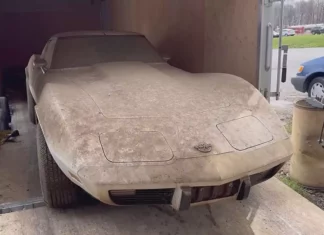 Abandonado por 42 anos, Chevy Corvette 1982 é resgatado Foto: WD Detailing
