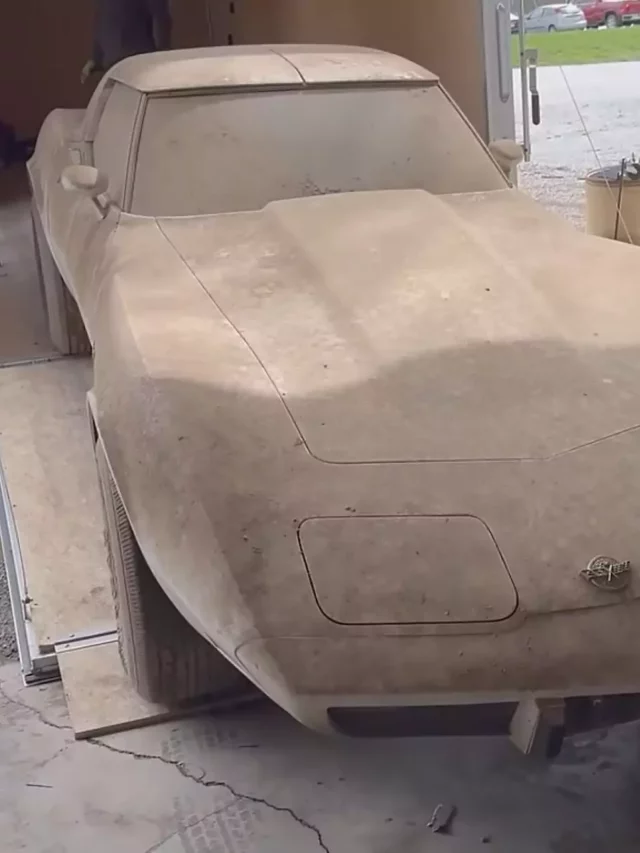 Abandonado por 42 anos, Chevy Corvette 1982 é resgatado