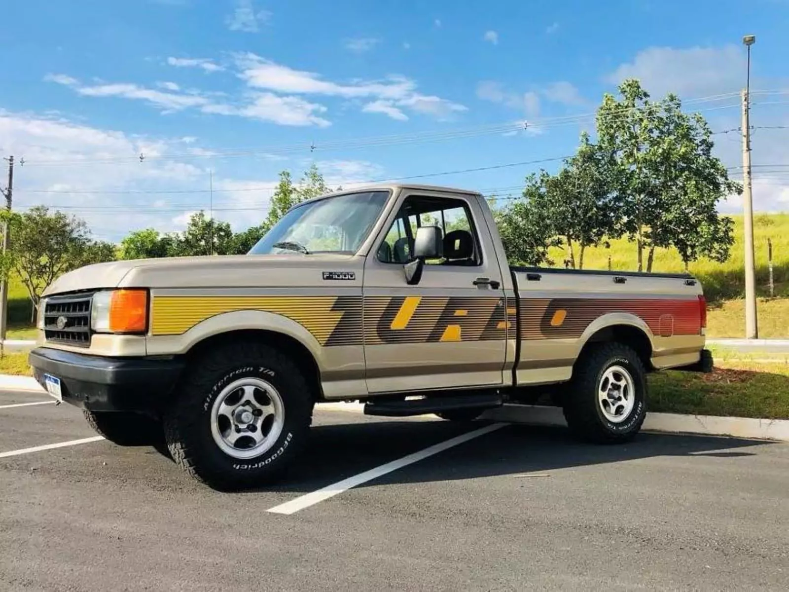 Ford F-1000 1994 / Foto: Julio Raridades