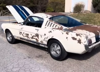 Abandonado por décadas, Ford Shelby Mustang GT350 1965 é resgatado