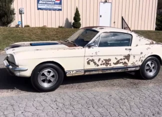 Abandonado por anos, Shelby Mustang GT350 1965 é Resgatado