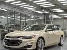 Chevy Opala Diplomata SS 2026 / Foto Projeção: Planet Cars