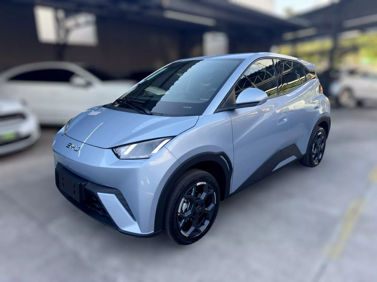 Dolphin Mini 2026 / Foto: BYD