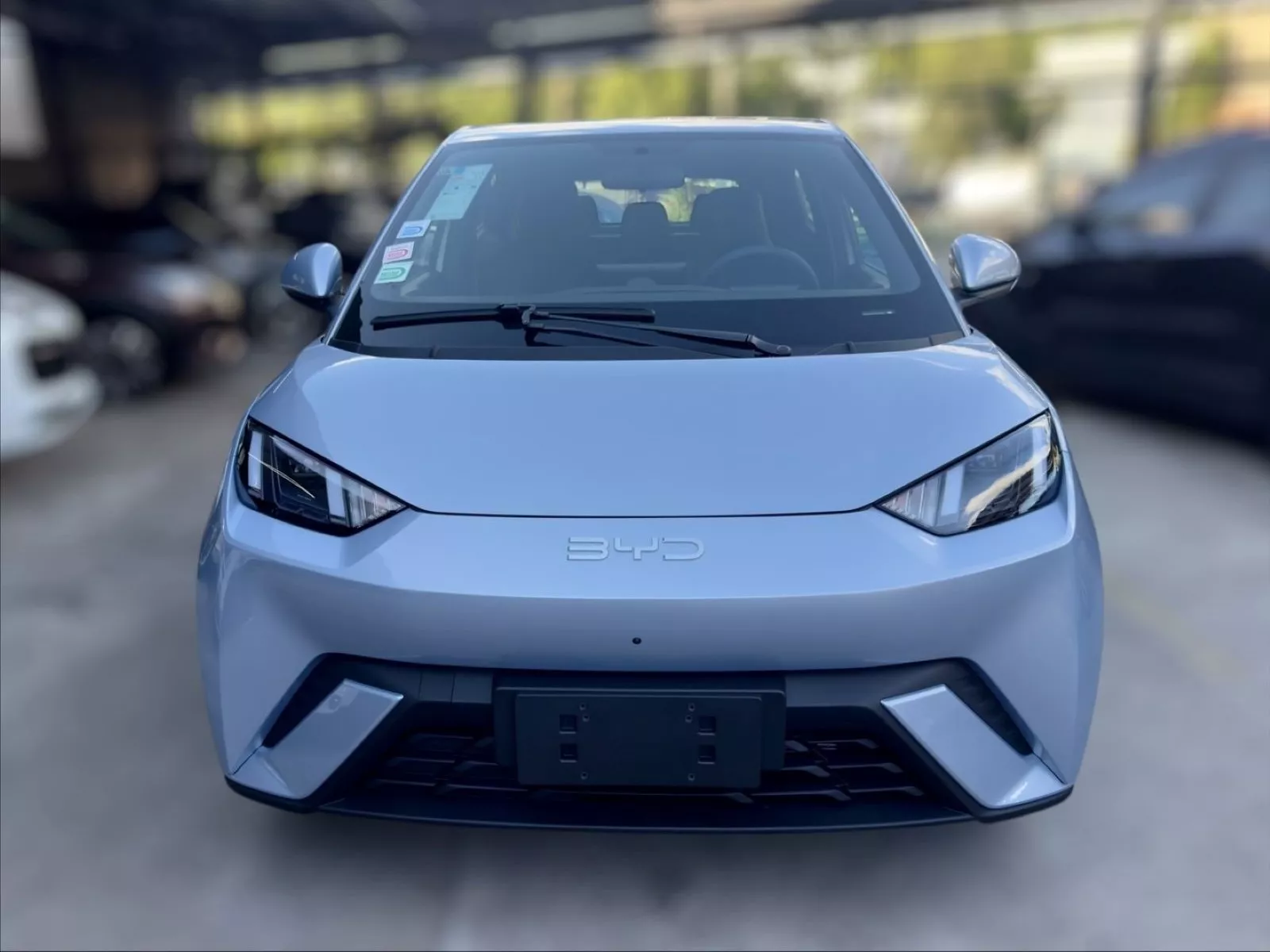 Dolphin Mini 2026 / Foto: BYD