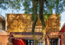 Estacionar Frente à Própria Garagem: Entenda as Regras e Evite Multas Surpreendentes