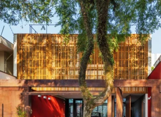 Estacionar Frente à Própria Garagem: Entenda as Regras e Evite Multas Surpreendentes