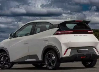 Seguro do BYD Dolphin Mini em 2026: Diferença de Preço entre Homens e Mulheres e Fatores que Impactam o Custo